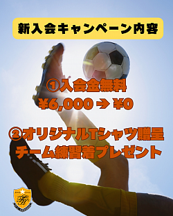 キャンペーン②